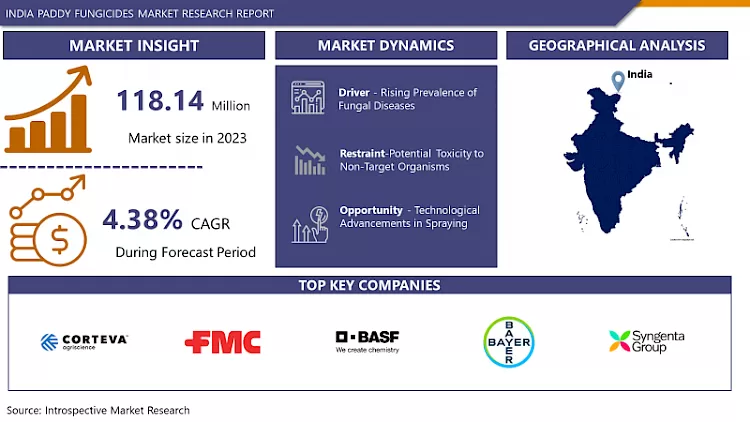 India Paddy Fungicides Market-Latest Analysis And Forecast (2024-2032)