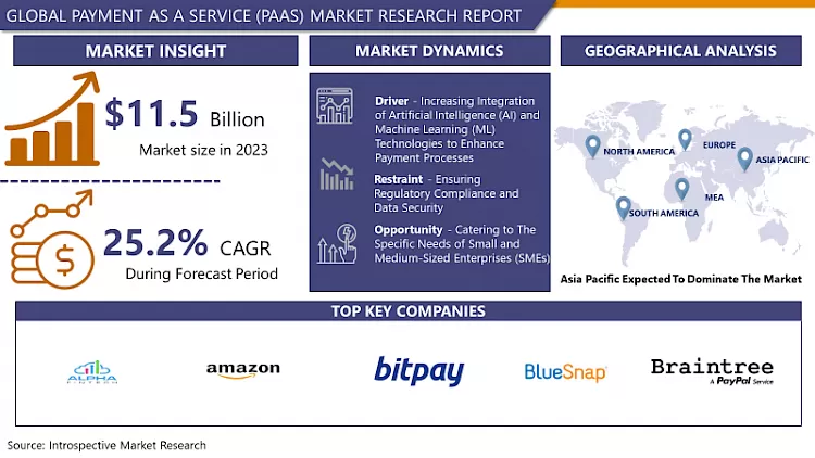 Payment As A Service (PaaS) Market - In-Depth Analysis By Size