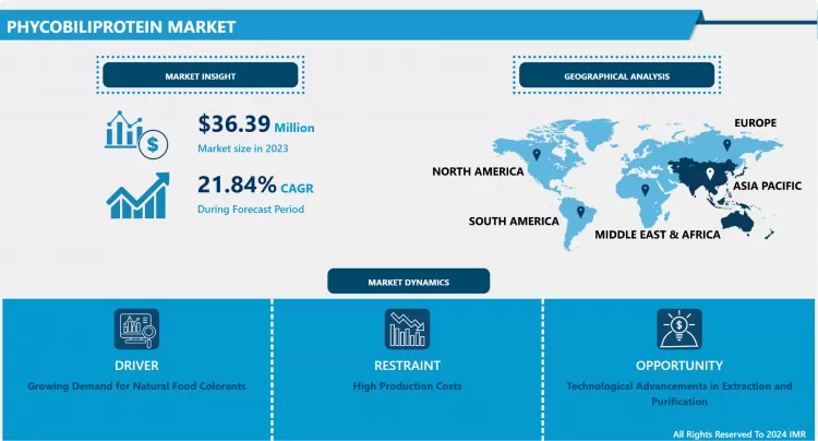Phycobiliprotein Market: Global Outlook & Market Dynamics
