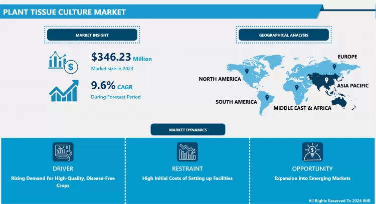 Plant Tissue Culture Market - Global Industry Growth &Trends