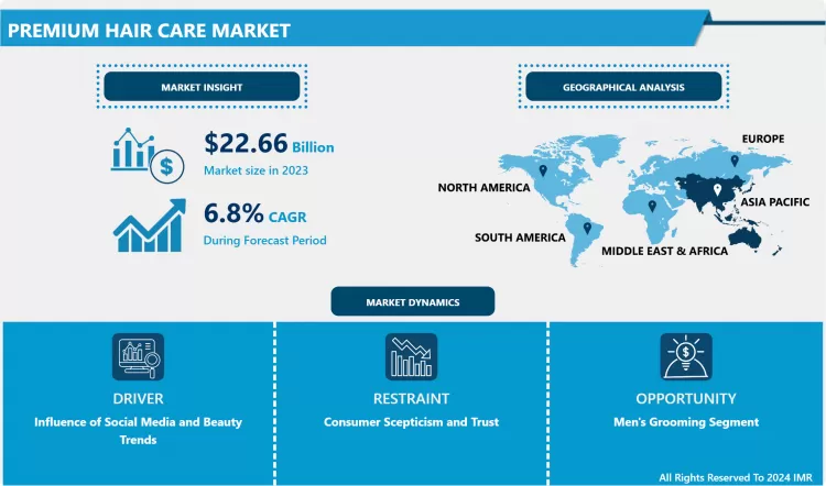 Premium Hair Care Market Comprehensive Study Report & Trends