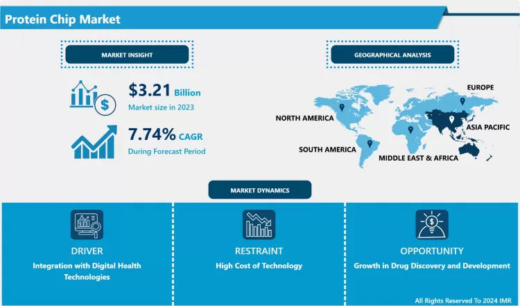 Protein Chip Market - Comprehensive Study Report & Recent Trends 2024-2032