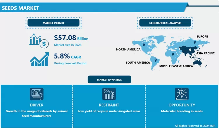 Seeds Market - Comprehensive Study Report & Recent Trends