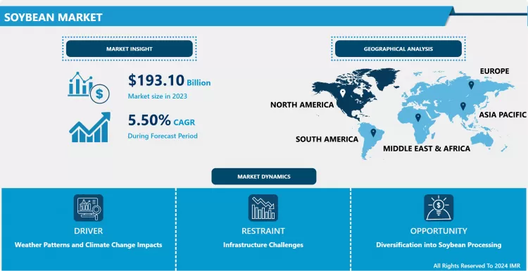 Soybean Market Size, Share & Outlook Latest Advancements 2032