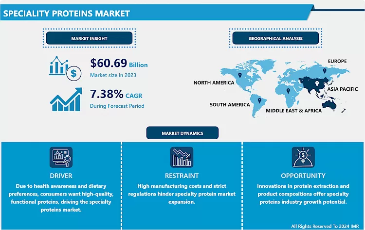 Speciality Proteins Market - Outlook By Potential Growth