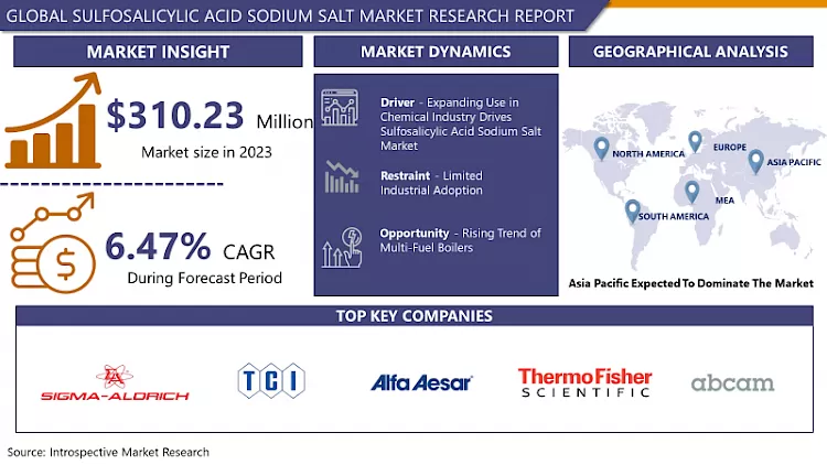 Global Sulfosalicylic Acid Sodium Salt Market - Global Sales Analysis 2024-2032