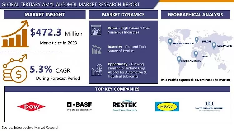 Tertiary Amyl Alcohol Market- Global Demand & Market Analysis