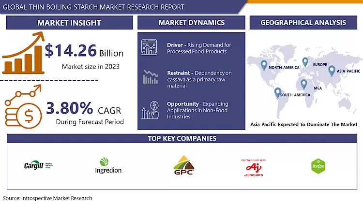 Thin Boiling Starch Market - Overview And Outlook By Potential Growth