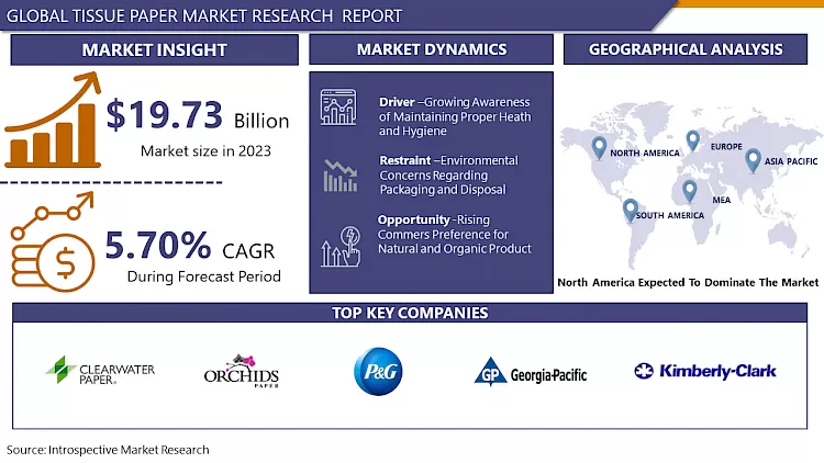 Tissue Paper Market-Overview And Outlook By Potential Growth