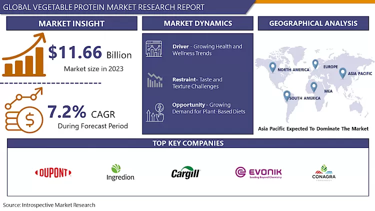 Vegetable Protein Market - Comprehensive Study Report & Recent Trends